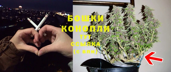 PSILOCYBIN Белоозёрский